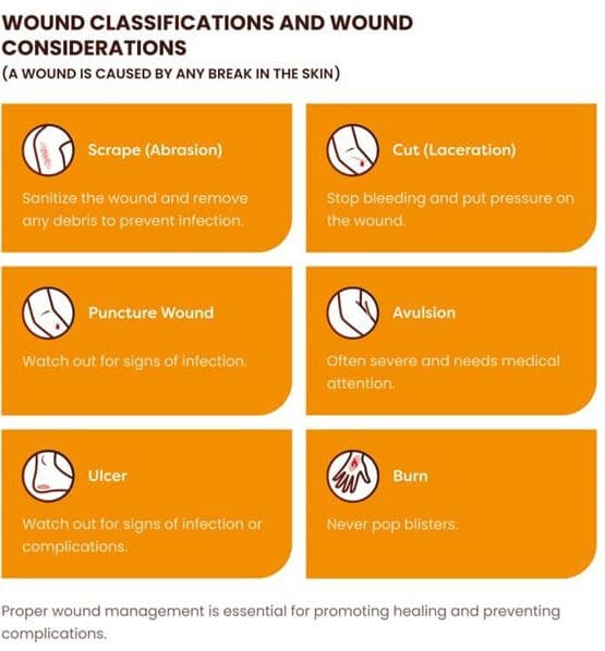 Intro to Wound Types body image
